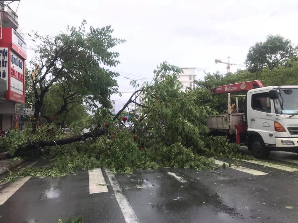 Nhìn lại sức tàn phá của cuồng phong bão số 5 ở miền Trung - 3