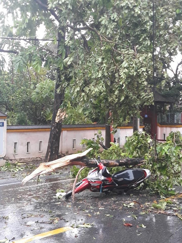 Nhìn lại sức tàn phá của cuồng phong bão số 5 ở miền Trung - 9