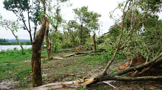 Huế báo cáo thiệt hại bão số 5, người thương vong và nhà cửa hư hại tăng mạnh - 4