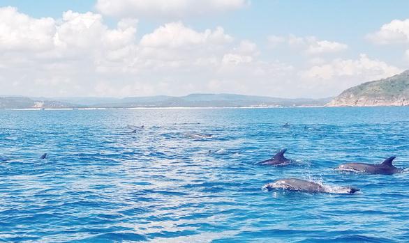 Tin tức 24h qua: Dũng “cam”- kẻ hành hạ dã man bé ở Campuchia bằng roi điện tử vong - 3