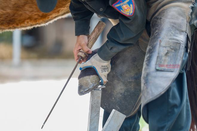 Những "chiến sĩ 4 chân" trung thành - 2