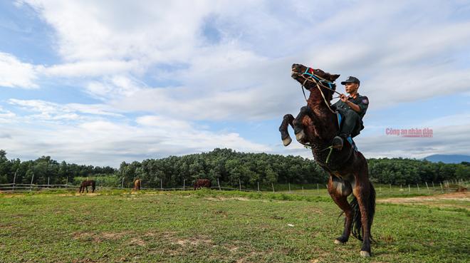 Những "chiến sĩ 4 chân" trung thành - 7