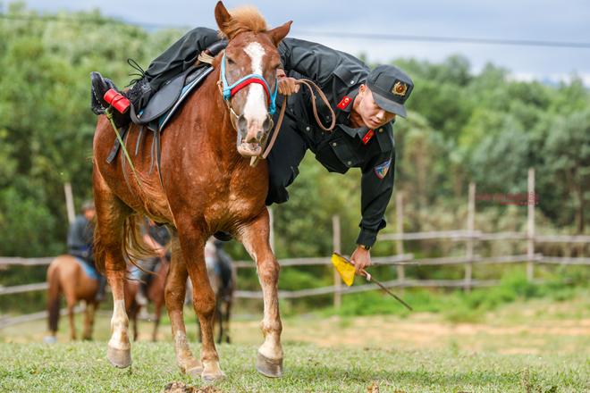 Những "chiến sĩ 4 chân" trung thành - 8