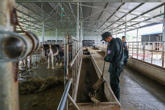 Những "chiến sĩ 4 chân" trung thành - 10