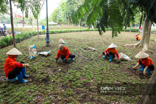 Chiêm ngưỡng những thảm hoa đẹp lung linh bên bờ hồ Hoàn Kiếm - 9