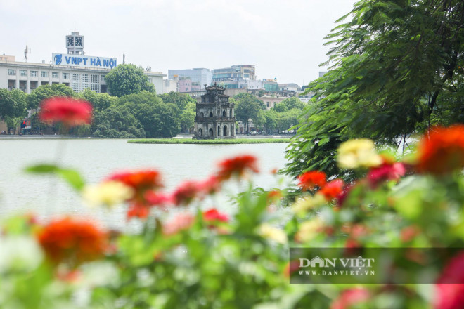 Chiêm ngưỡng những thảm hoa đẹp lung linh bên bờ hồ Hoàn Kiếm - 14