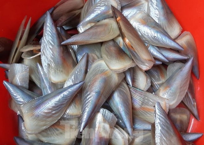 Người dân Quảng Bình nhận "lộc trời" chưa từng thấy sau cơn bão đi qua - 4