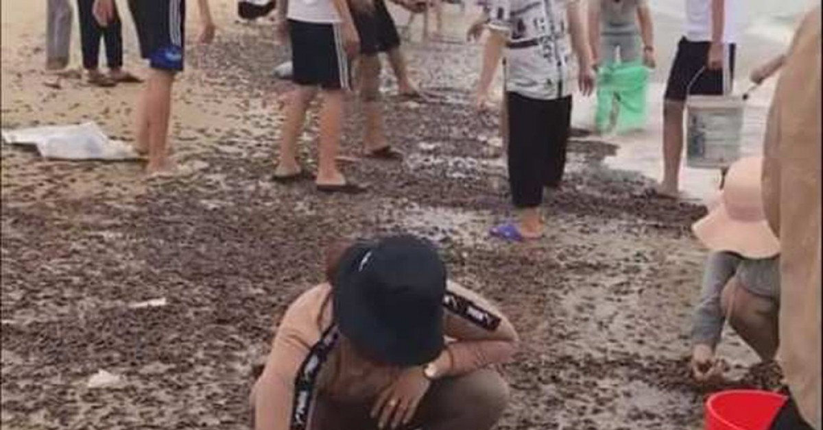 Người dân Quảng Bình nhận "lộc trời" chưa từng thấy sau cơn bão đi qua - 5