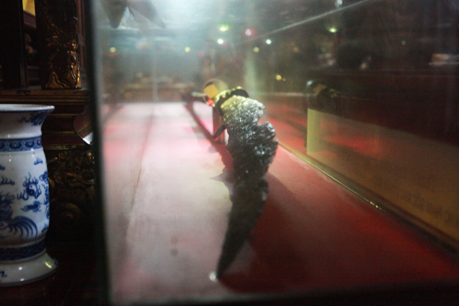 Bảo đao "danh bất hư truyền" nặng 25kg của vua Mạc Thái Tổ được bảo vệ ngày đêm - 5