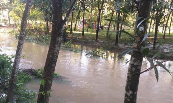 Vụ người phụ nữ lọt mương nước mất tích: Lãnh đạo huyện nói gì? - 3