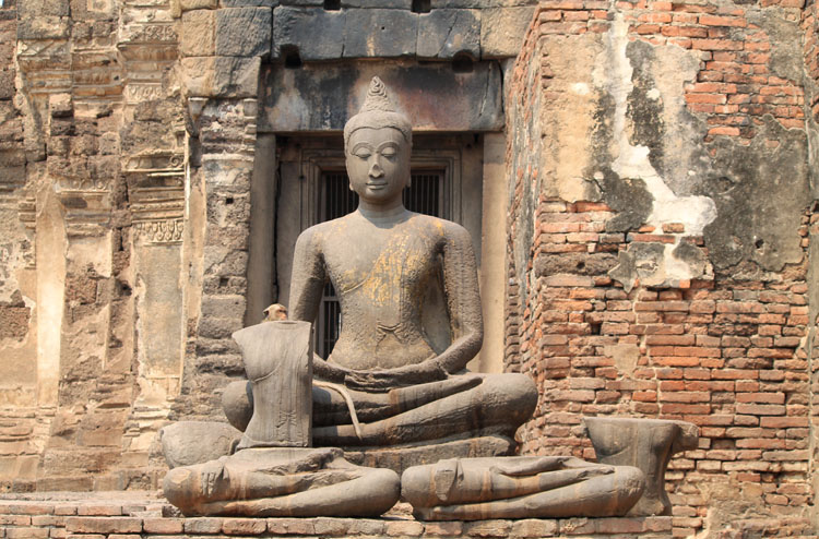 Lạ lùng khu tàn tích cổ trở thành thánh địa loài khỉ, phải luôn cảnh giác khỏi bị khỉ cướp đồ - 4