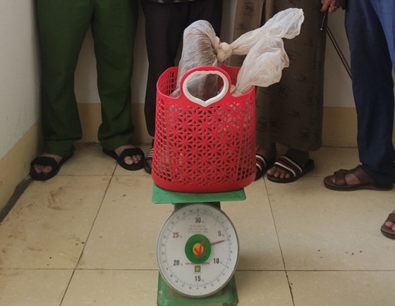 Tạm giữ 2 bố con mang rắn hổ mang chúa “khủng” đi bán - 3