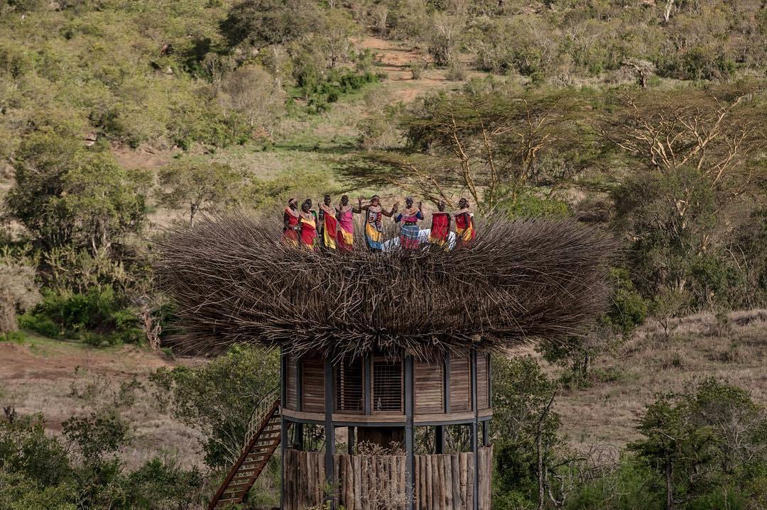 Du khách kinh ngạc trước khách sạn tổ chim cực ấn tượng - 7