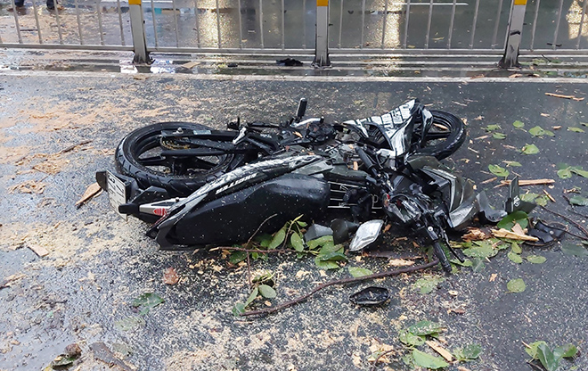 Vụ cổ thụ bật gốc ngã đè thanh niên ở Sài Gòn: Nạn nhân đã qua đời - 3