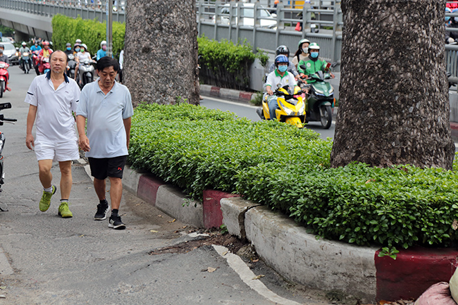 Từ vụ thanh niên chết oan ức khi bị cổ thụ đè: Nhiều cây chực chờ “nuốt người” đi đường - 12