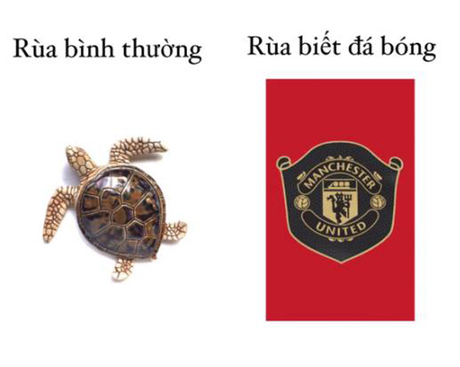 MU – Chelsea thi nhau "suýt chết": Cộng đồng mạng tranh cãi mỉa mai - 3