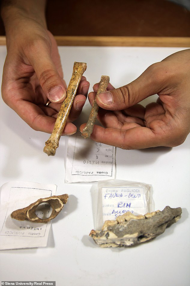 Bí ẩn hài cốt không phải con người nằm lẫn trong khu mộ cổ 8.400 năm - 4