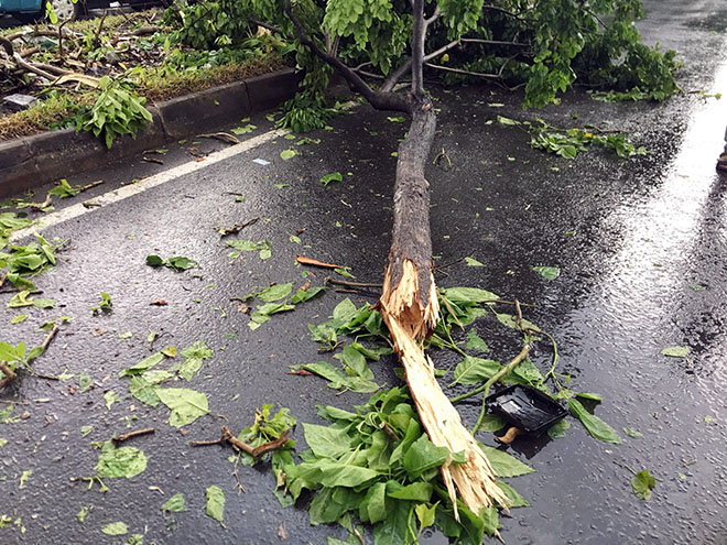 Xe container “đại náo” đường phố Sài Gòn và hiện trường như trận cuồng phong vừa “quét qua” - 4