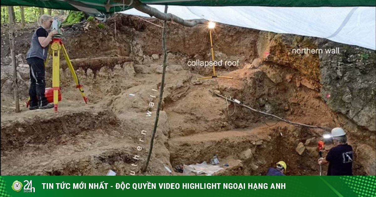 Bất ngờ với "báu vật" ẩn mình trong những con người lai đầu tiên - Vimarsana News