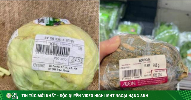 "Sốc" khi siêu thị TP.HCM bán bắp cải 250.000 đồng/kg trong mùa dịch: "Ngã ngửa" khi biết sự thật - Vimarsana News