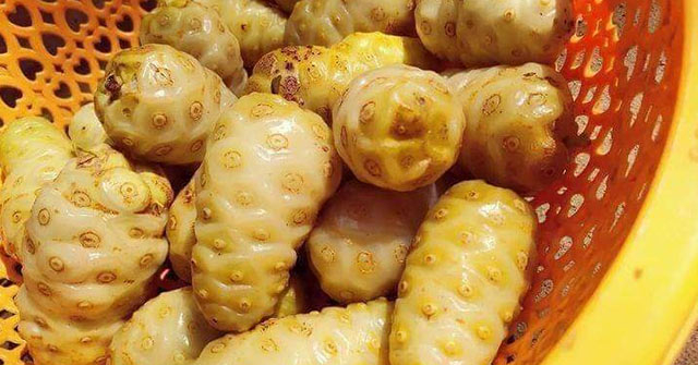 Rối loạn tiền đình, đau đầu, hoa mắt chóng mặt, mất ngủ: Thử mẹo này xong là thoát bệnh và ngủ khỏe ăn ngon! - Vimarsana News