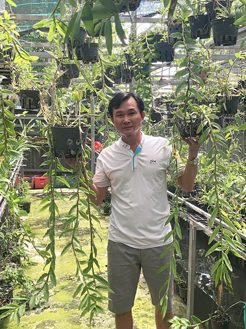 Tiết lộ chân dung nghệ nhân trồng hoa lan Phan Thanh Liêm - 1