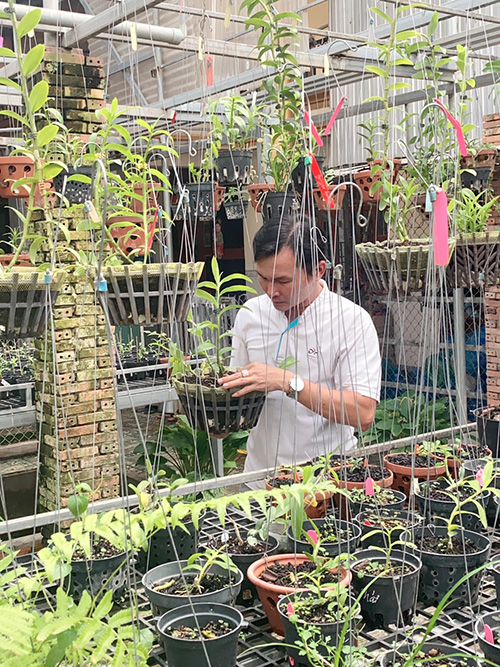 Tiết lộ chân dung nghệ nhân trồng hoa lan Phan Thanh Liêm - 2