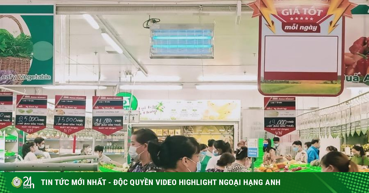 Trứng, rau muống, hành... siêu đắt: Bà nội trợ thở dài, không dám mua - Vimarsana News