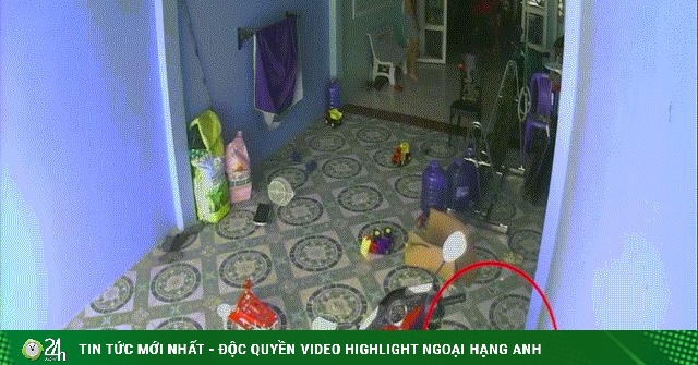 Báo nước ngoài đăng video hổ mang chúa "hùng hổ" vào nhà ở Việt Nam, dọa người dân bỏ chạy - Vimarsana News