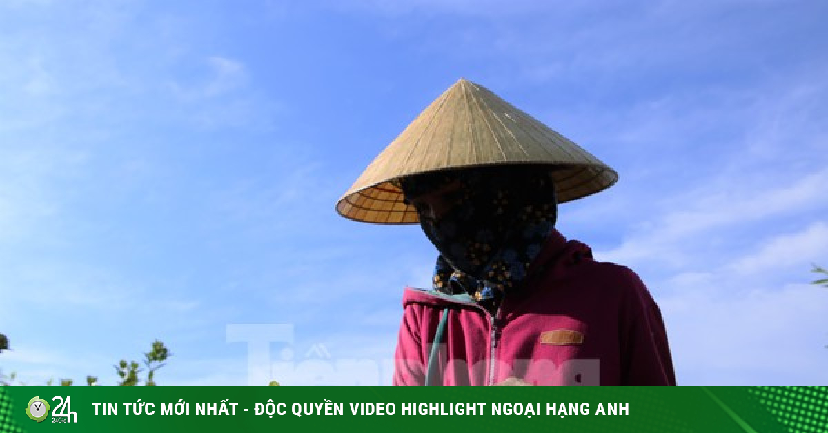 Cổng thông tin điện tử - Hội Nông Dân Việt Nam