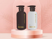 Bộ đôi tinh chất gội, xả thảo dược thiên nhiên Molle – lựa chọn an toàn cho mọi đối tượng