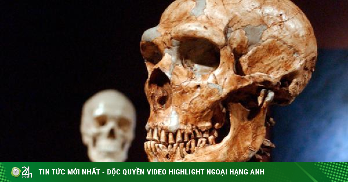 Phát hiện mới về ẩn số loài người là độc nhất - Vimarsana News