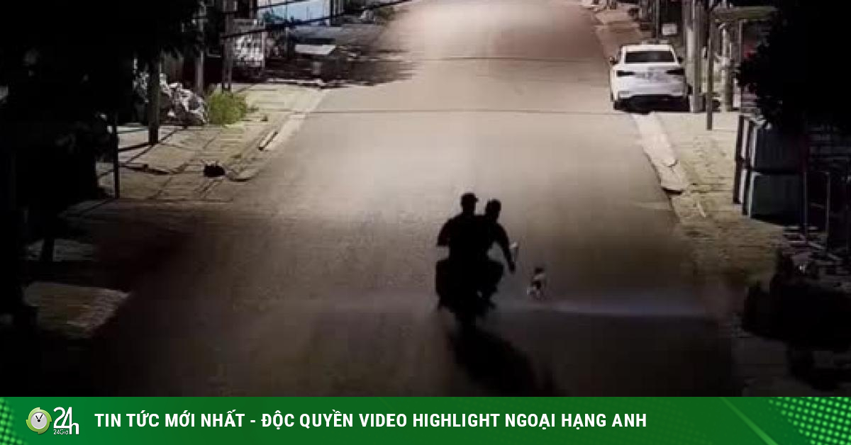 Clip: Chó cưng thông minh, tốc độ chơi trò "mèo vờn chuột" khiến 2 tên trộm "bẽ mặt" - Vimarsana News
