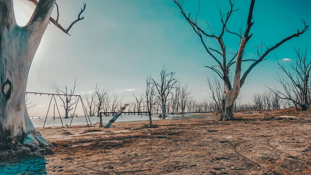 6 công trình ngập nước đẹp nhất thế giới, chỉ nhìn thôi cũng đã thấy được “giải nhiệt” vô cùng - 7