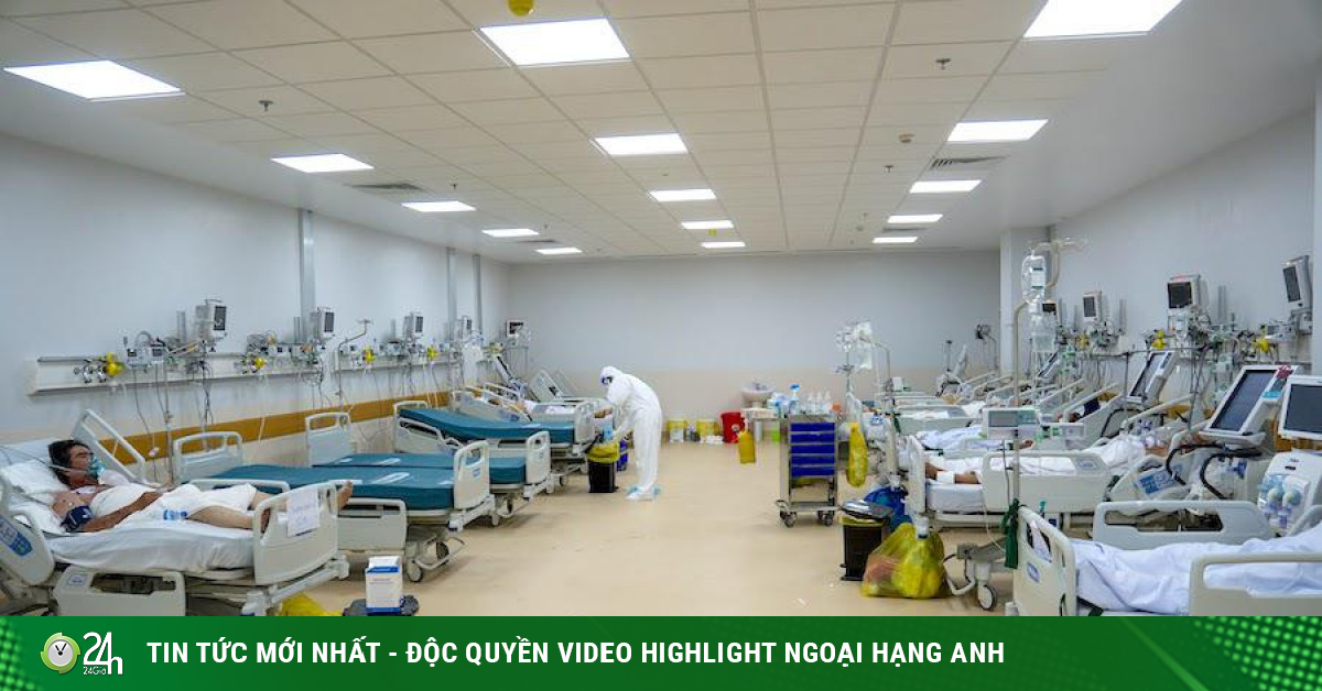 COVID-19: Dự kiến tới đây mỗi ngày TP.HCM có 1.000 người xuất viện - Vimarsana News