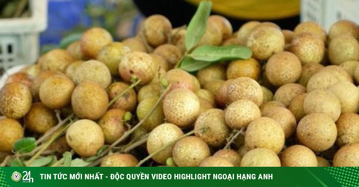 Hàng ngàn tấn trái cây rớt giá, chờ thương lái đến mua - Vimarsana News