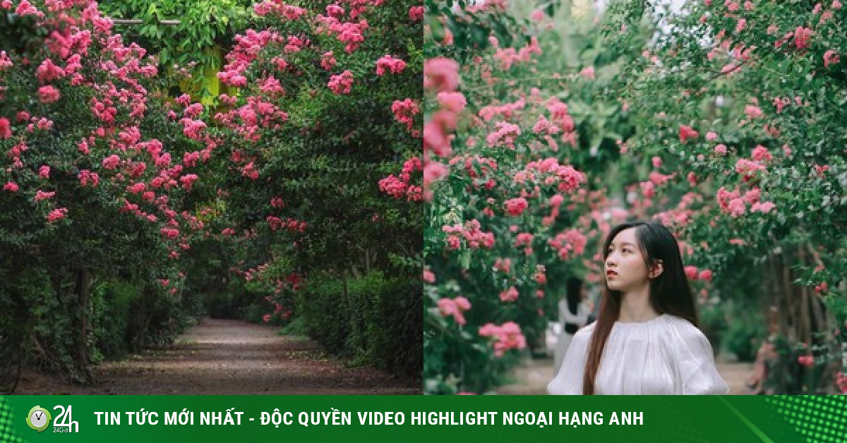 Hóa thân thành "nàng thơ" lạc bước trong khu vườn tường vi đẹp như tranh vẽ ở Hà Nội - Vimarsana News
