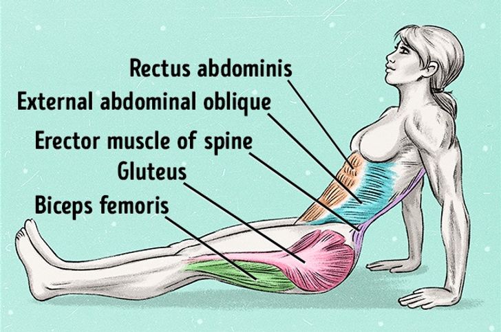 Plank ngược: Bài tập toàn diện giúp bạn có thân hình săn chắc - 3