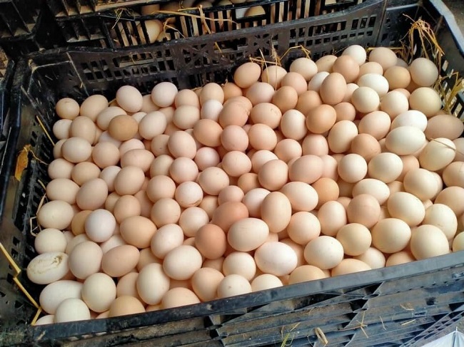 Nóng tuần qua: Sản phẩm này bỗng tăng giá kỷ lục, điểm bán nào cũng “cháy” hàng - 1
