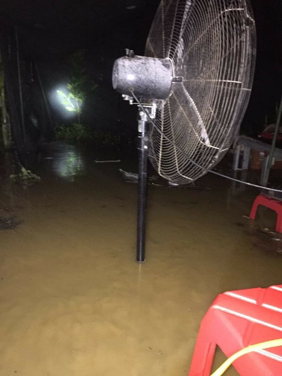 Đường phố ở Thái Nguyên ngập như sông, cây ngã đổ khắp nơi sau trận mưa lớn kèm dông lốc - 4