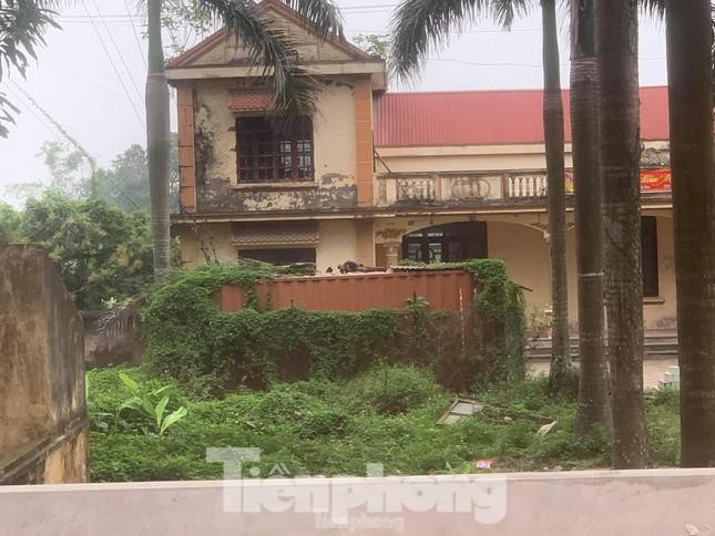 Lô gỗ sưa "trăm tỷ" chưa thể tổ chức đấu giá lần 5 - 2