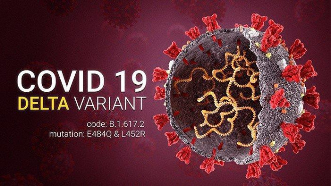 Nhận diện những thay đổi triệu chứng COVID-19 do biến thể Delta - 1