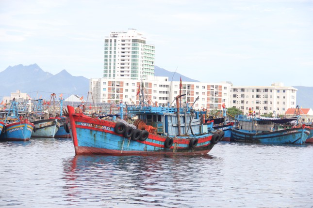Liên tiếp chìm tàu sau khi cảng cá lớn nhất miền Trung phong tỏa - 3