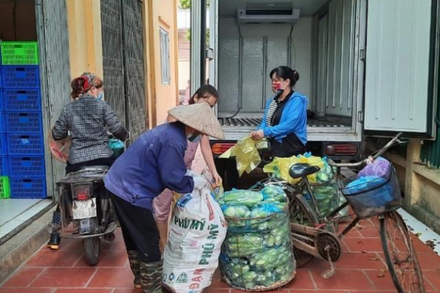 Hà Nội: Hơn 30 tấn rau được tiêu thụ “sạch bách”, giá cao bất ngờ