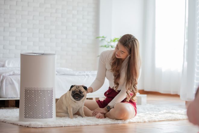Những lý do cần trang bị máy lọc không khí cho ngôi nhà - 4