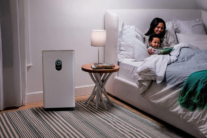 Những lý do cần trang bị máy lọc không khí cho ngôi nhà - 5