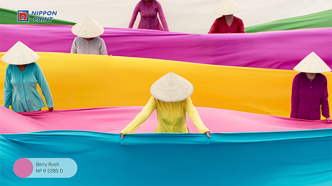 Bảng màu đa sắc về đất nước và con người Việt Nam - 3