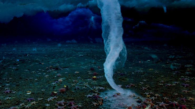 Lốc xoáy băng: Còn được gọi là Brinicles, những vòi băng này  xảy ra khi có sự chênh lệch lớn giữa nhiệt độ nước biển và không khí do đó đóng thành băng, và khi băng dày hơn sẽ tạo ra lốc xoáy lớn, bất kỳ động vật biển nào tiếp xúc với nó đều bị cuốn lại và chết cóng.
