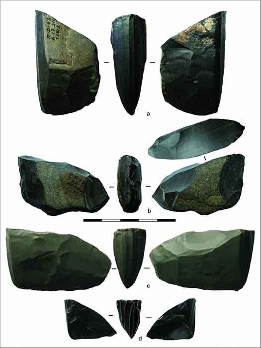 "Kho báu" 14.000 năm tiết lộ nơi châu Mỹ - châu Á dính liền - 3