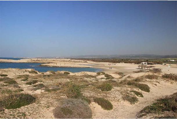 Cắm trại, nhặt được... 6 kg kho báu từ "tàu ma" thế kỷ thứ 4 - 3